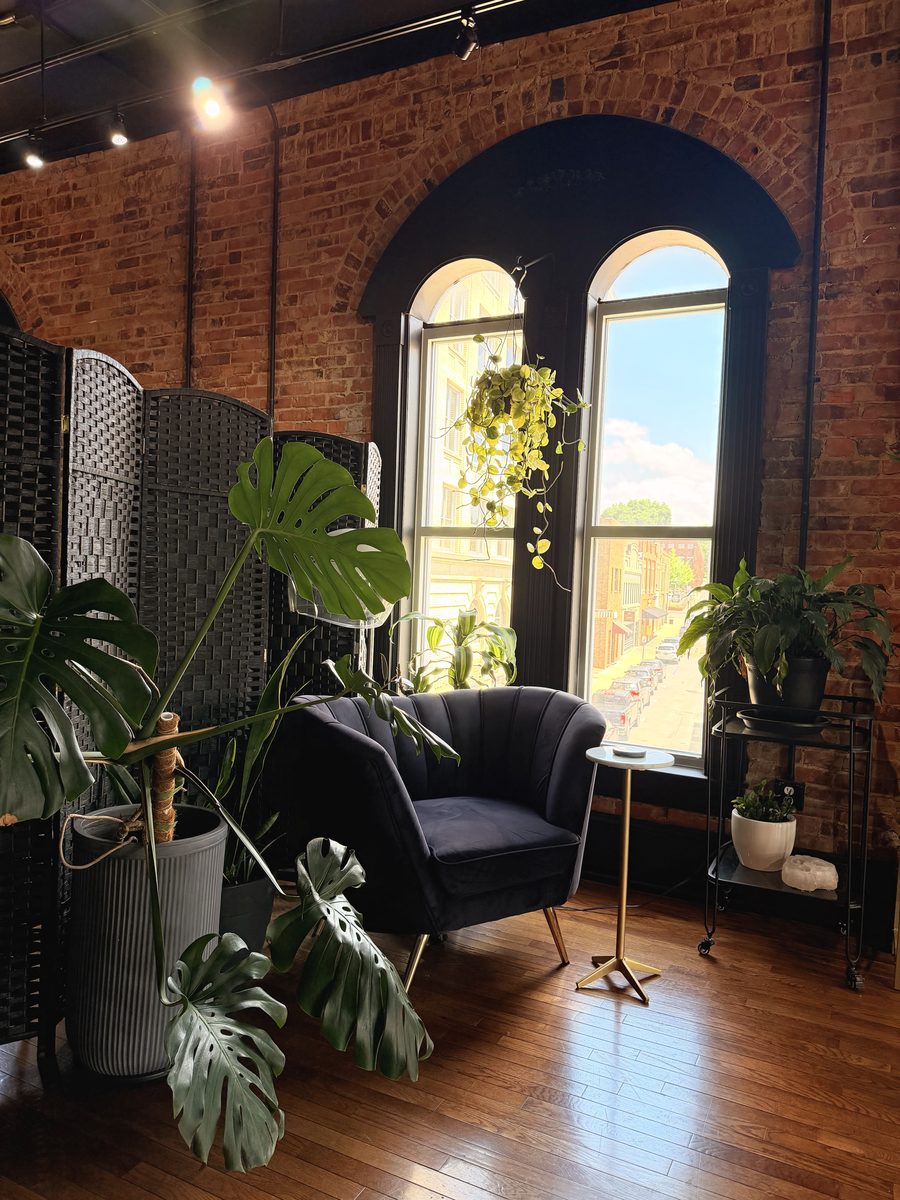 Cozy plant corner with arched window overlooking downtown Johnson City